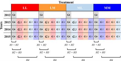 Precipitation predictability affects intra- and trans-generational plasticity and causes differential selection on root traits of Papaver rhoeas